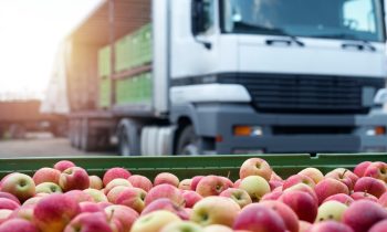 Comment réduire les pertes et le gaspillage alimentaire lors du transport des marchandises ?