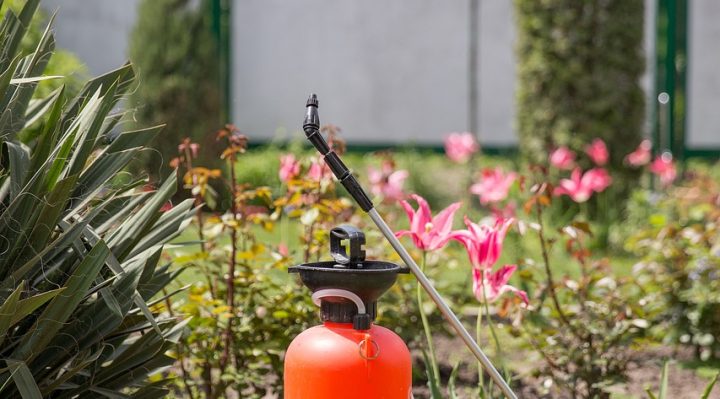 Jardin et appareil de désinsectisation