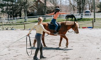 Découvrez comment débuter en équitation et développer votre passion pour les chevaux