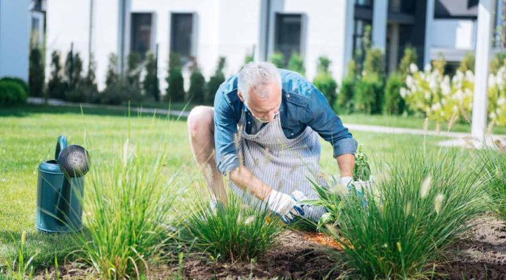 Les essentiels de l’aménagement paysager durable