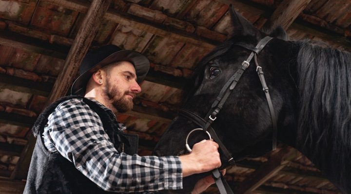 10-Débourrage de chevaux