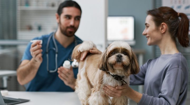 9-Gestion des allergies chez les animaux de compagnie