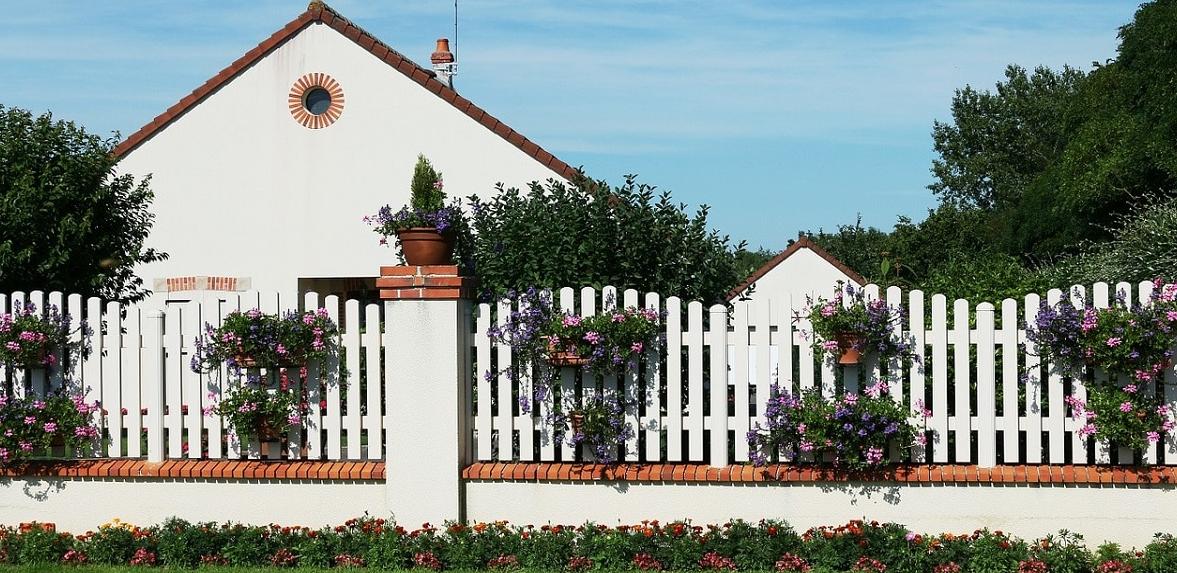 clôtures vivantes--