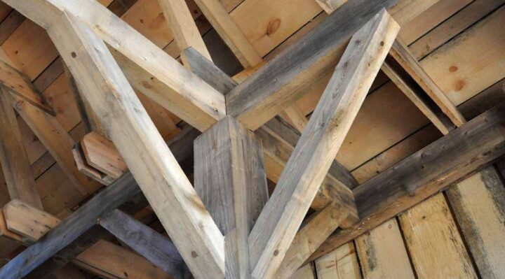 éviter les attaques du capricorne de charpente