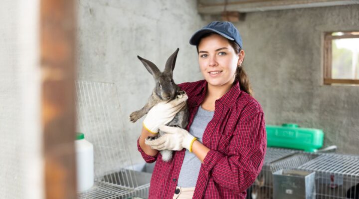 9-Comment aménager un habitat sûr et confortable pour votre lapin