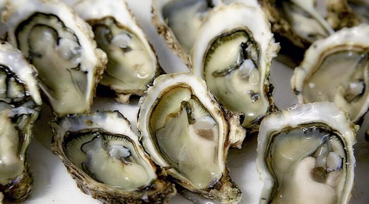 huîtres naturelles