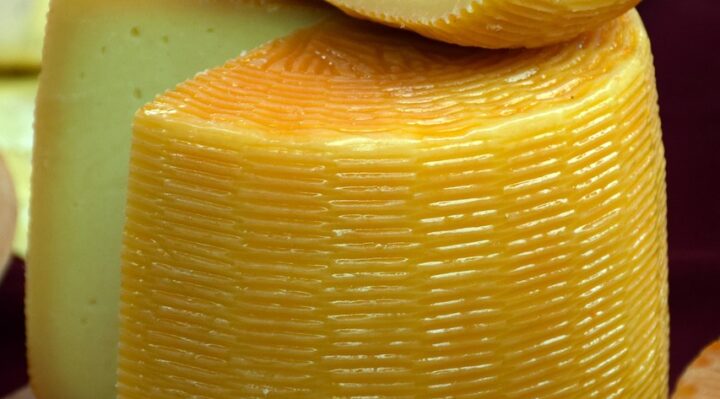 découvrez l'univers des fromages artisanaux : saveurs authentiques, savoir-faire traditionnel et diversité de produits locaux pour ravir tous les amateurs de fromage.