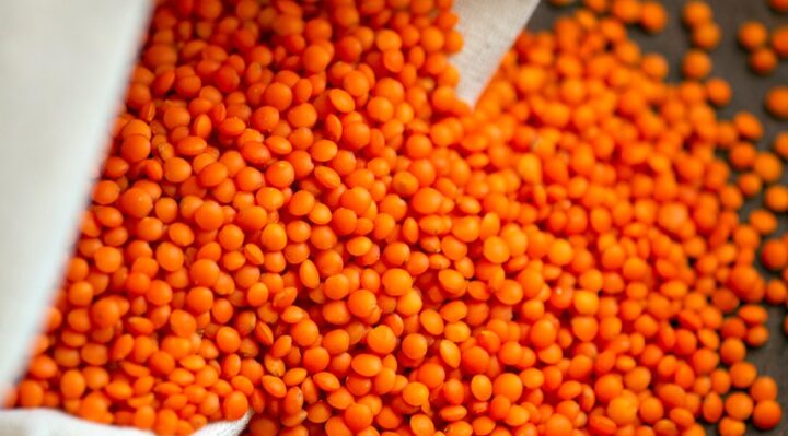 découvrez des conseils et astuces essentiels pour une nutrition équilibrée et saine, adaptés à tous les âges et modes de vie.