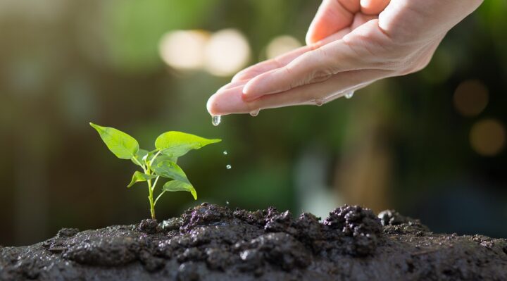 découvrez le coût du retrait de sol, les facteurs influençant les prix et comment estimer les dépenses pour vos projets de jardinage ou de construction.
