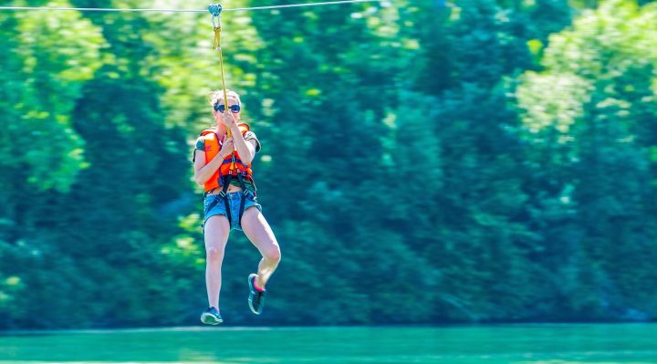 découvrez comment la technique de branche retention zipline optimise la croissance des plantes tout en assurant leur stabilité et durabilité.