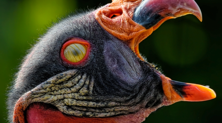 découvrez les membranes epdm, une solution durable et étanche pour la couverture et l'isolation de vos toitures. facile à installer et résistante aux intempéries.