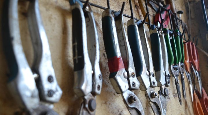 découvrez des conseils experts et des techniques efficaces pour tailler vos arbres et arbustes, favorisant une croissance saine et un jardin harmonieux.