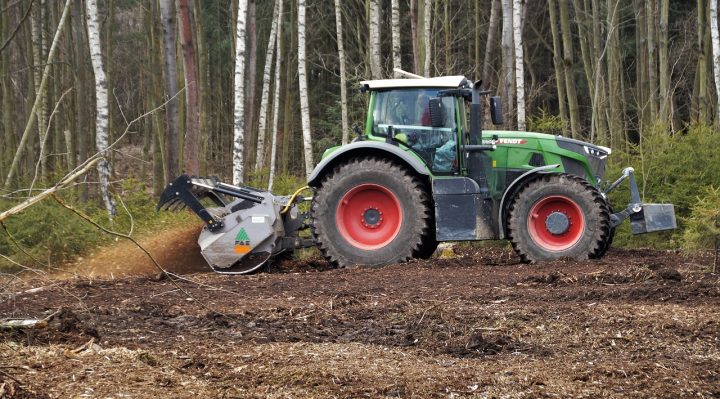 service professionnel d'abattage d'arbres pour un jardin sûr et esthétique. intervention rapide et respectueuse de l'environnement.