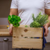 Caisse en bois navette_la solution durable pour les déménagements réguliers