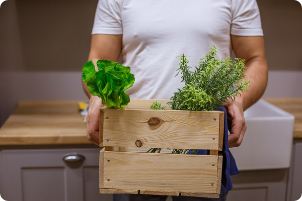 Caisse en bois navette_la solution durable pour les déménagements réguliers