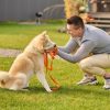 Améliorer le comportement de son chien grâce à un éducateur canin à domicile et en extérieur