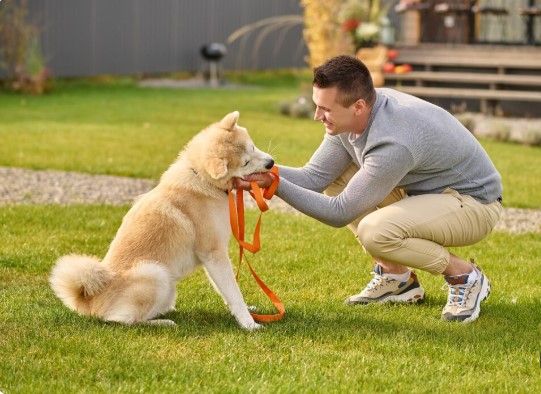 Améliorer le comportement de son chien grâce à un éducateur canin à domicile et en extérieur