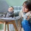 Offrir un séjour confortable à son chat grâce à une pension adaptée
