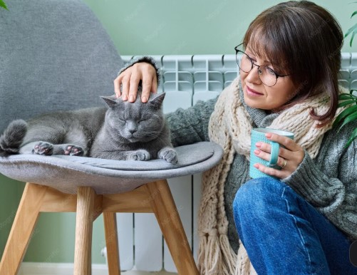 Offrir un séjour confortable à son chat grâce à une pension adaptée